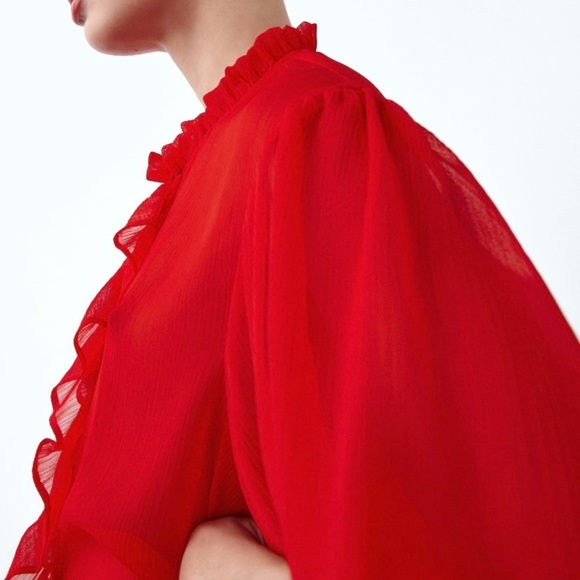 ZARA Semi-Sheer Blouse with Ruffles BNWT - Picture 2 of 3